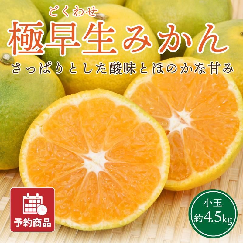 ʲ