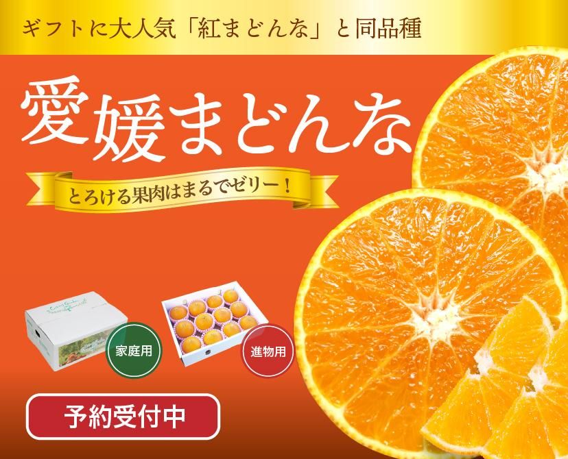 ɲޤɤ