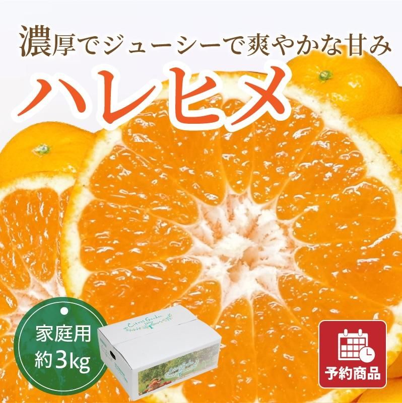 ʲ