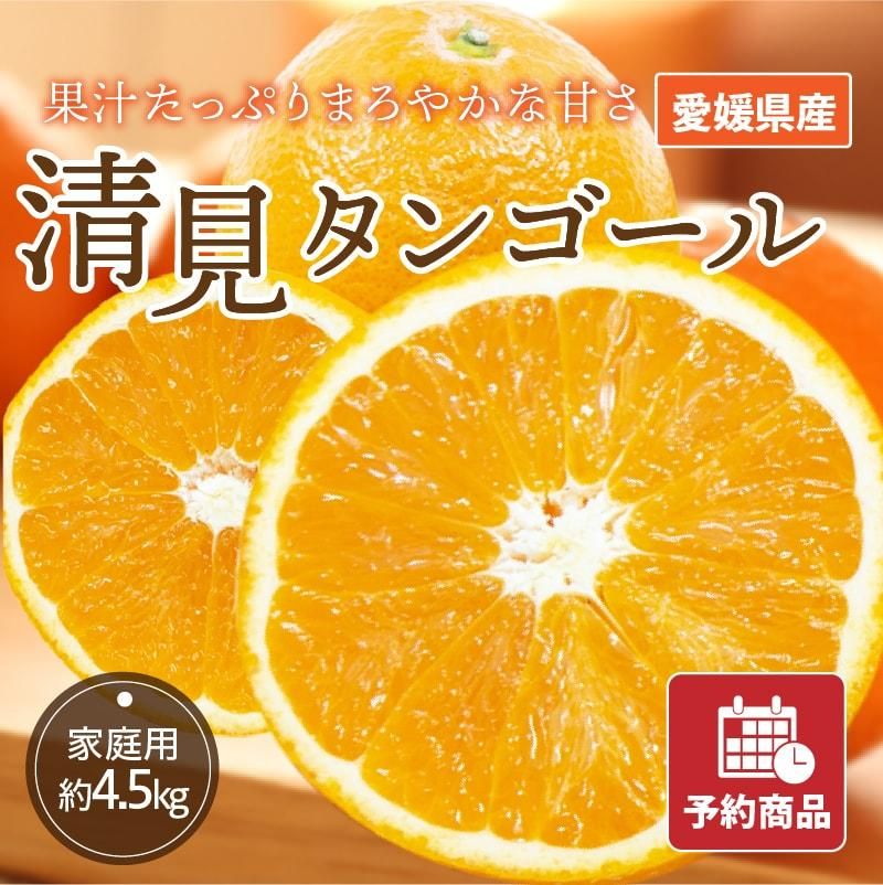 ʲ