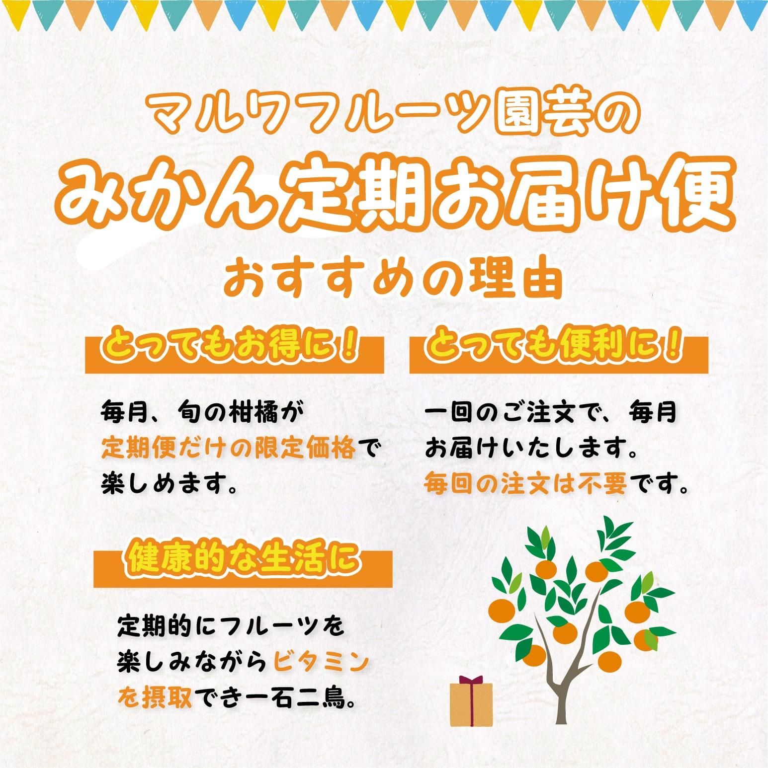 旬のみかん定期お届け便