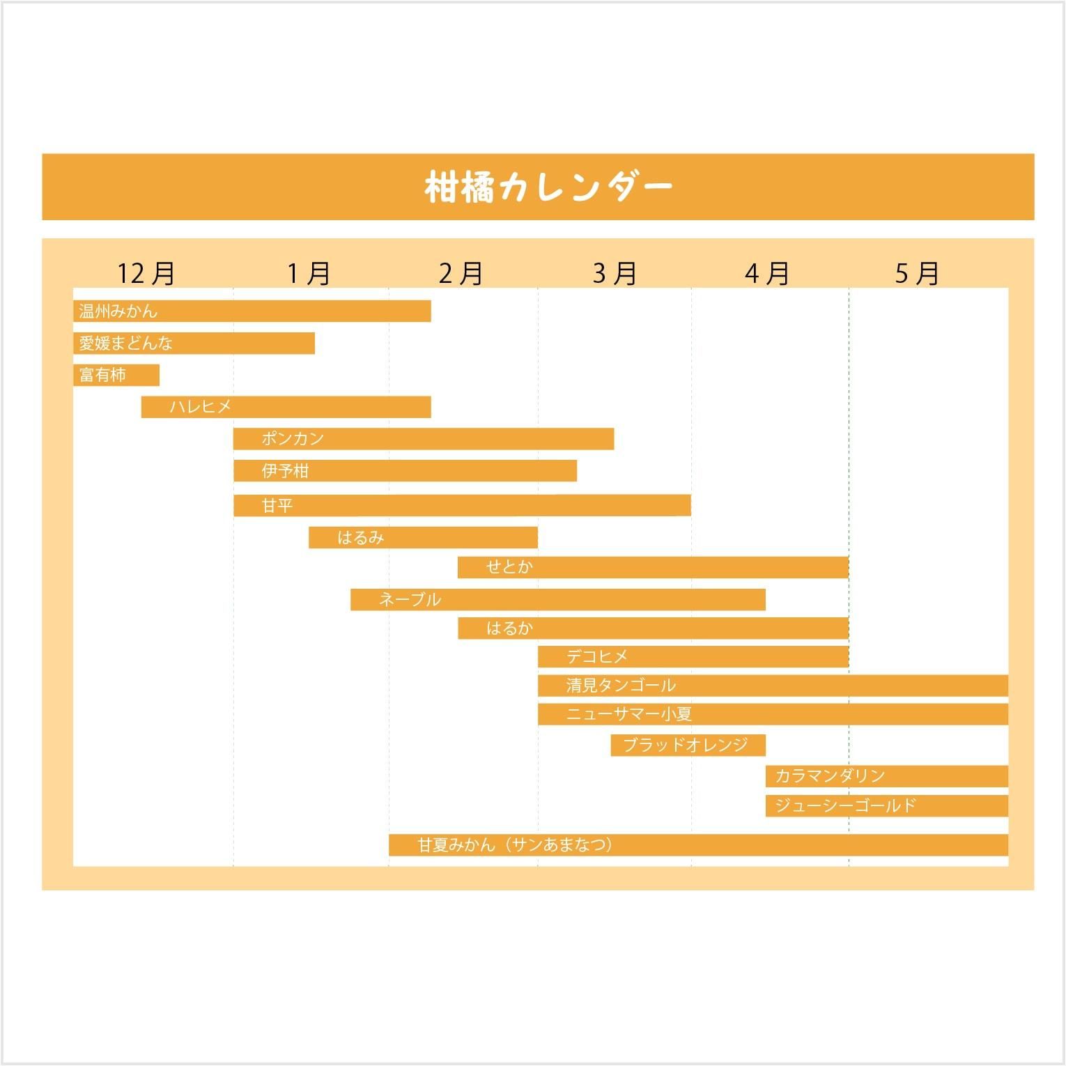 旬のみかん定期お届け便