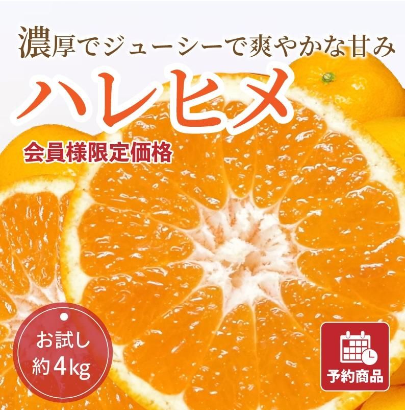 ʲ