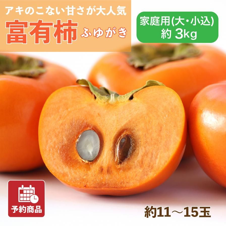 ʲ