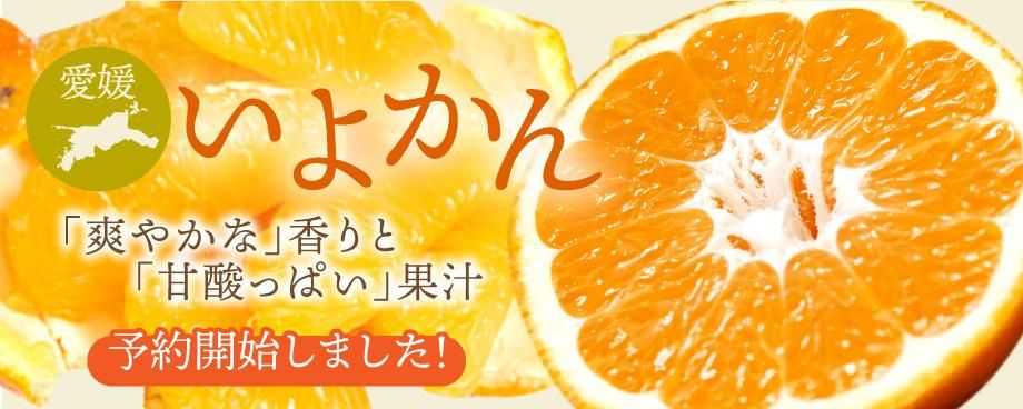 褫