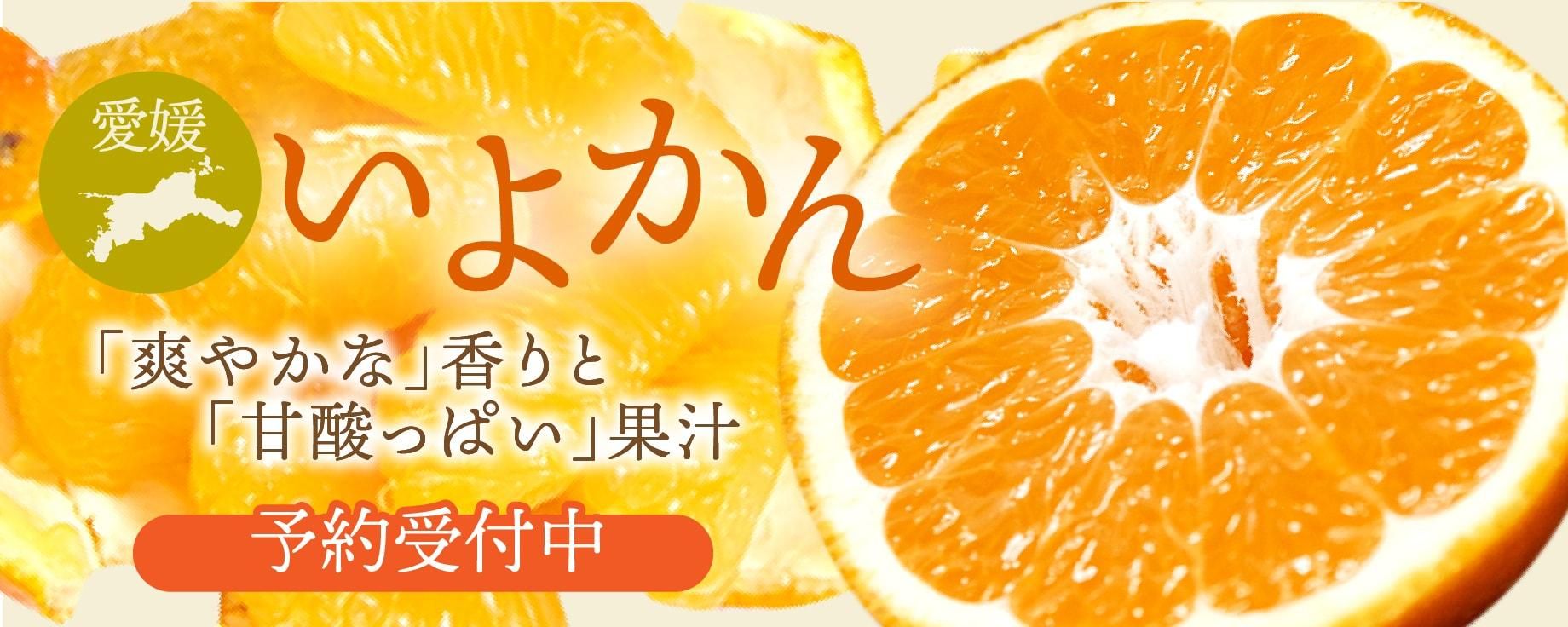 褫