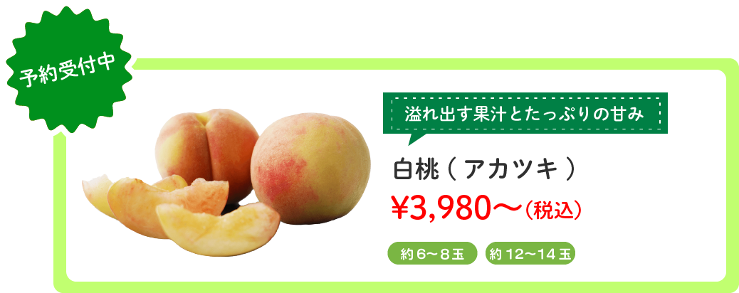饤