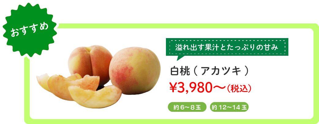 饤