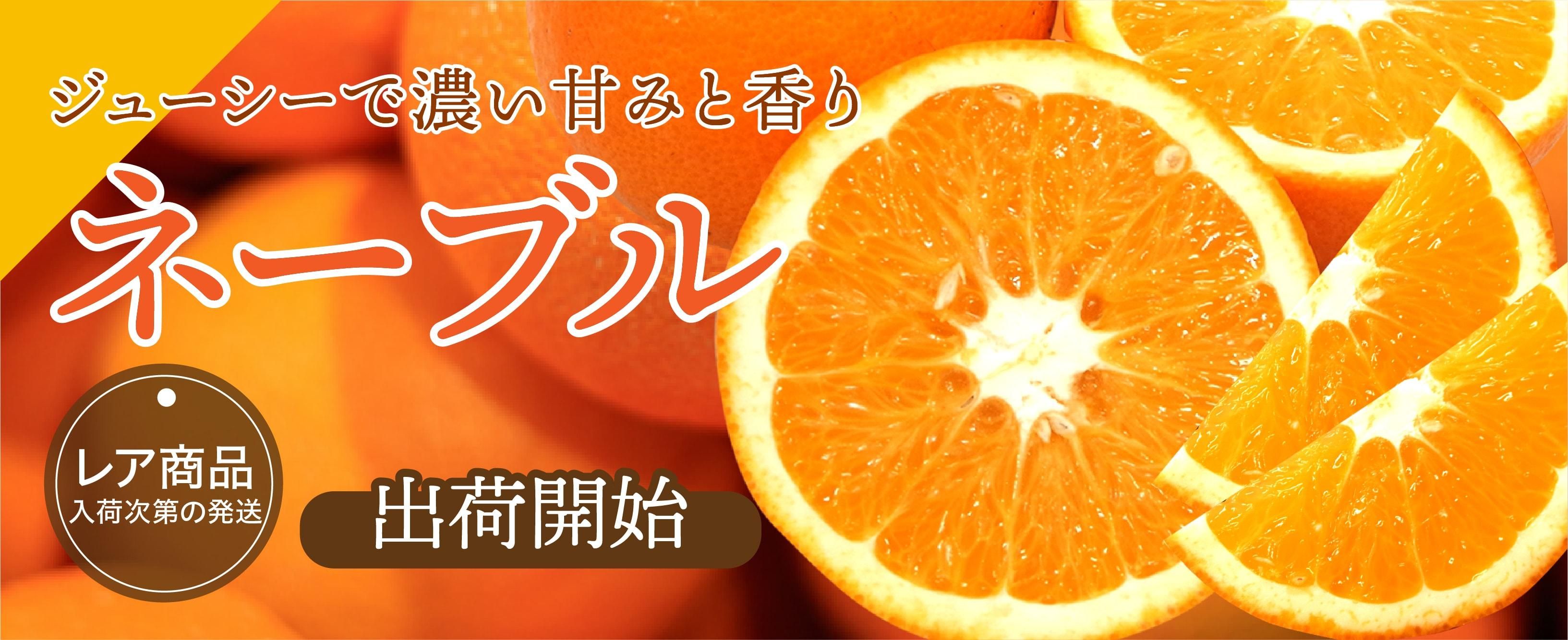 ֥͡