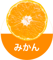 ߤ