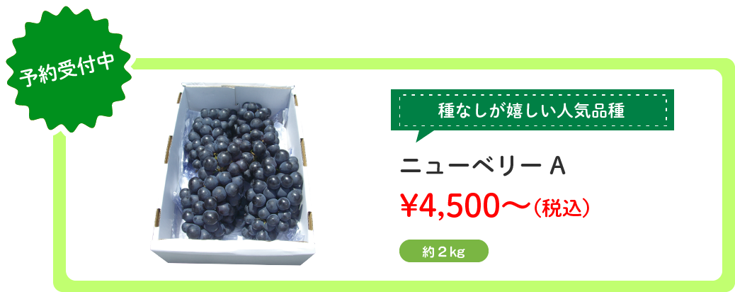 ˥塼٥꡼饤
