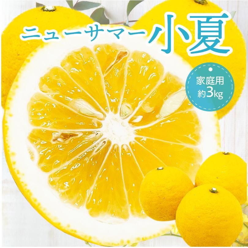 ʲ