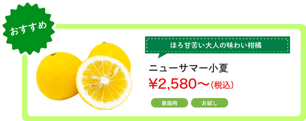 ˥塼ޡ