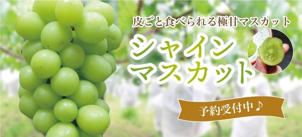 㥤ޥå