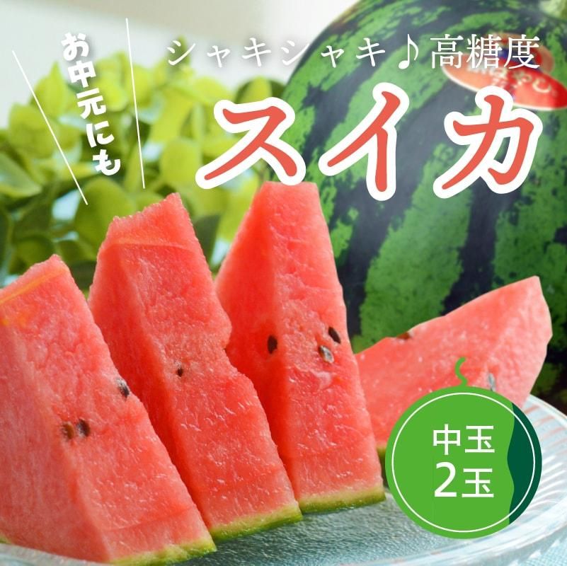 ʲ