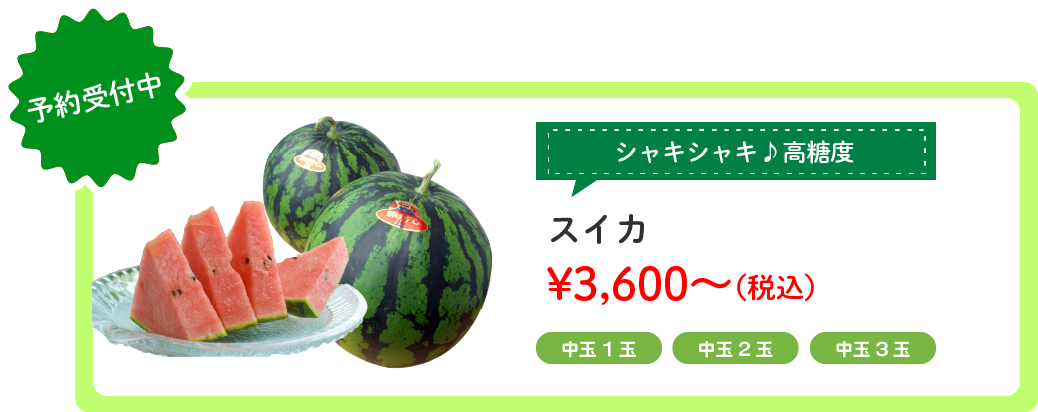 饤