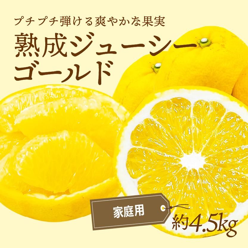 ʲ