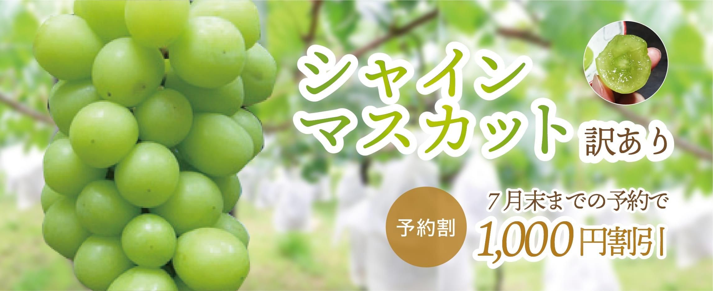 㥤ޥå