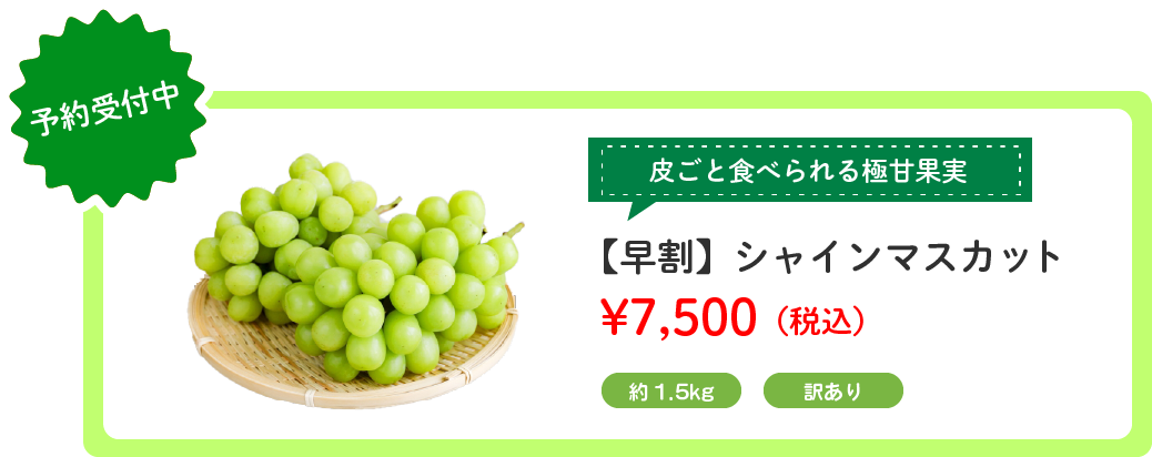 㥤ޥåȥ饤