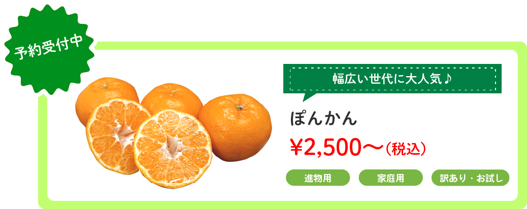 ݤ󤫤