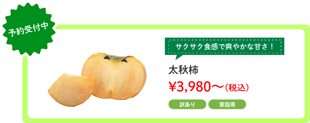 饤