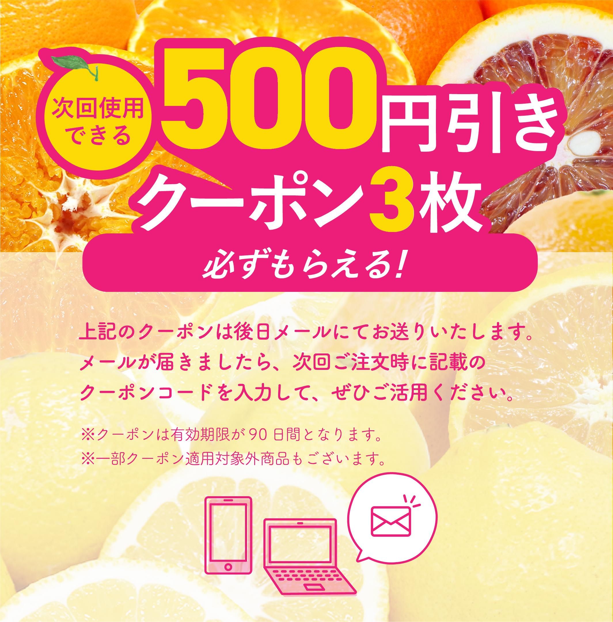 旬のみかん定期お届け便