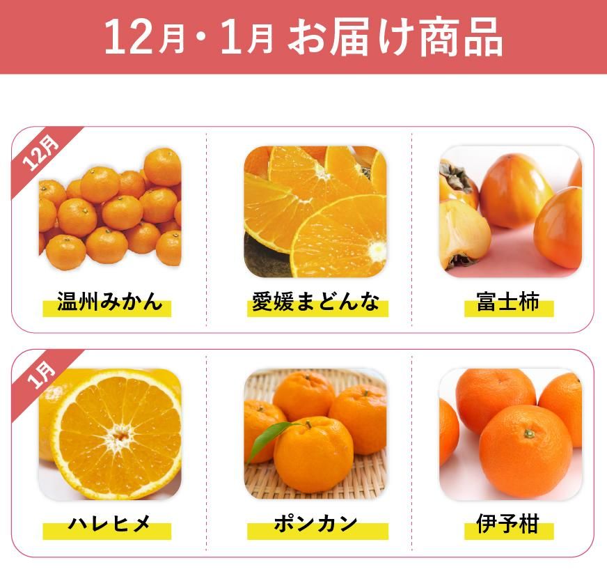 旬のみかん定期お届け便