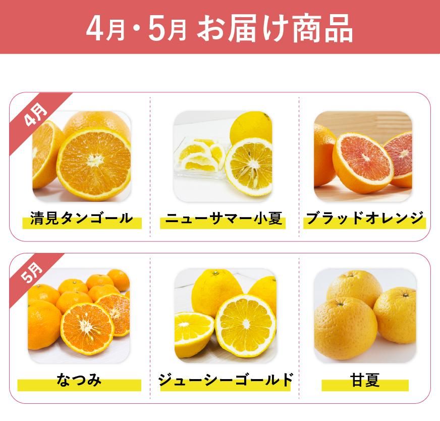旬のみかん定期お届け便