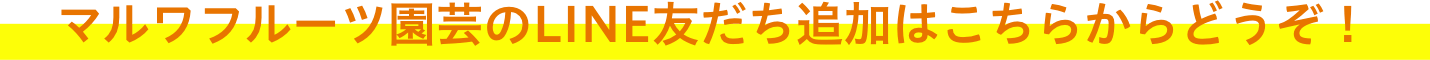 ޥե롼ıݤLINEͧɲäϤ餫ɤ