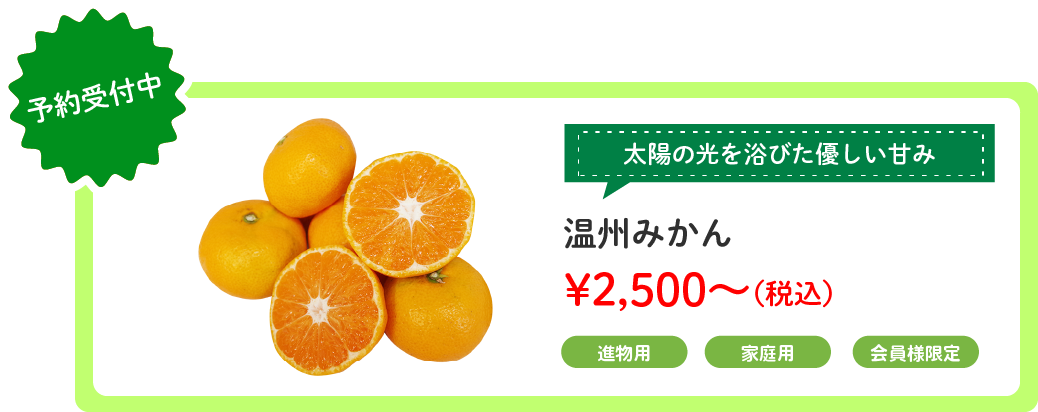 ߤ󥹥饤
