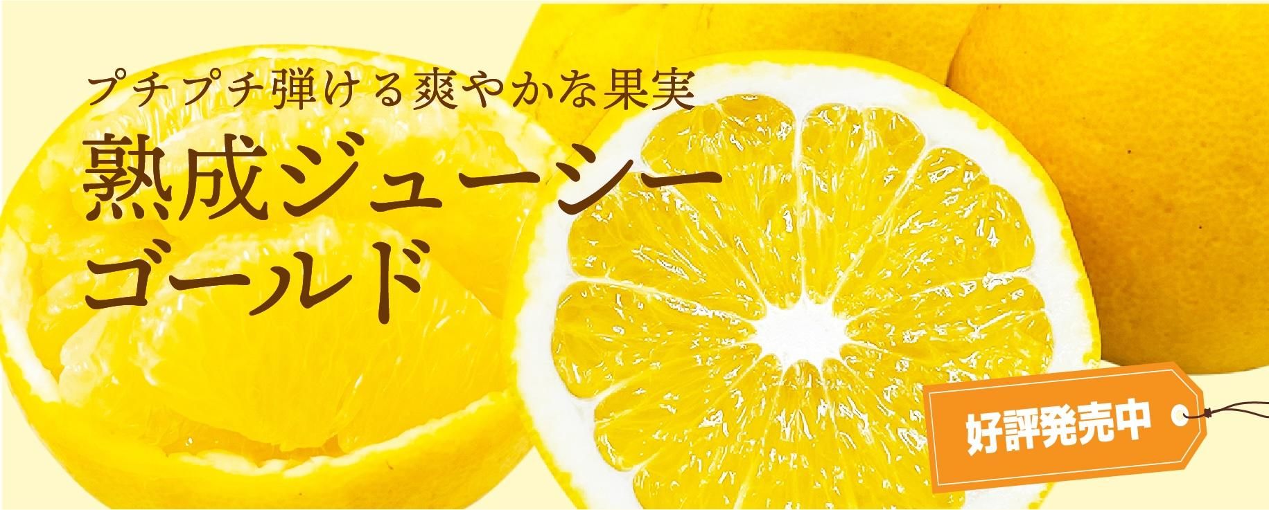 塼
