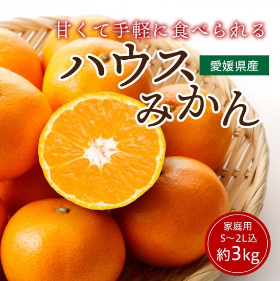 ハウスみかん【家庭用】約3kg 約25~42玉 (S〜2L込) 旬の甘くておいしいみかんをお取り寄せ - マルワフルーツ園芸