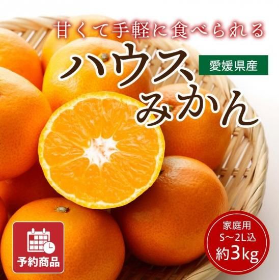 ͽʡۥϥߤڲѡ3kg2542 (S2L)