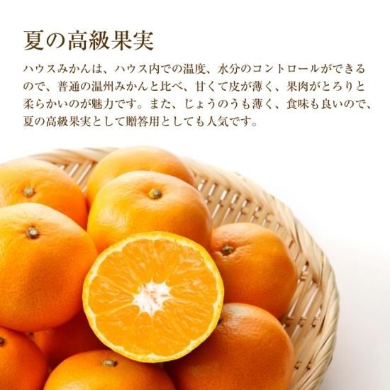 ͽʡ ϥߤڲѡ4.5kg4070 (S2L)