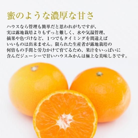 ͽʡ ϥߤڲѡ4.5kg4070 (S2L)