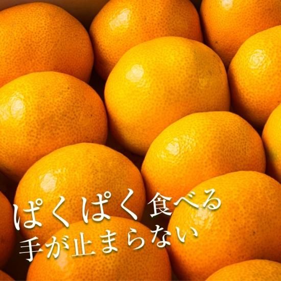 ͽʡ ϥߤڲѡ4.5kg4070 (S2L)