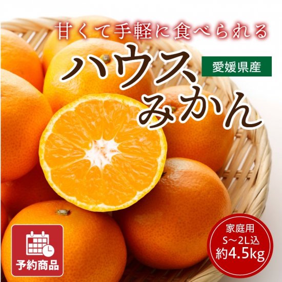 愛媛県産　ハウスみかん　箱込み約5㎏　柑橘　ミカン