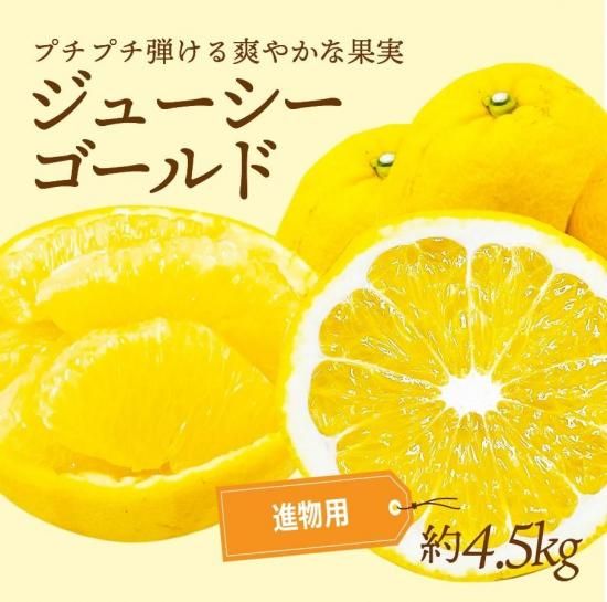 塼ɡʲմˡڿʪѡ4.5kg