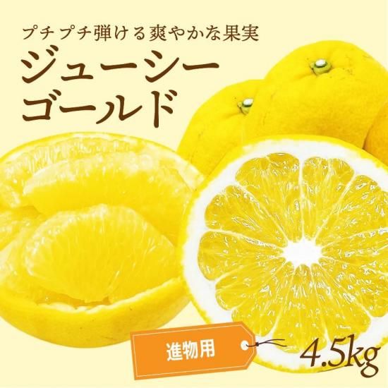 塼ɡʲմˡڿʪѡ4.5kg
