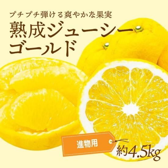 塼ɡʲմˡڿʪѡ4.5kg