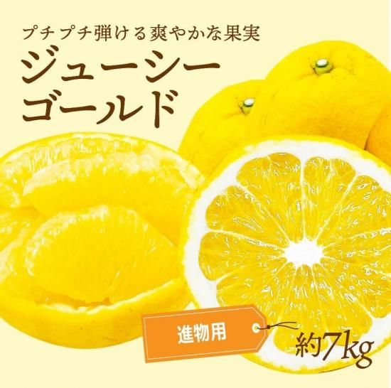 塼ɡʲմˡڿʪѡ7kg