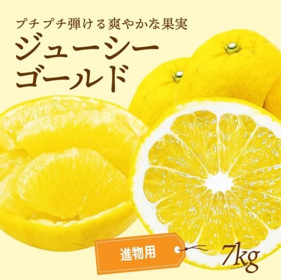 塼ɡʲմˡڿʪѡ7kg