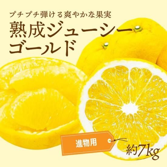 塼ɡʲմˡڿʪѡ7kg