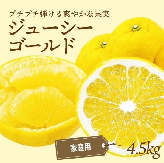 塼ɡʲմˡڲѡ4.5kg