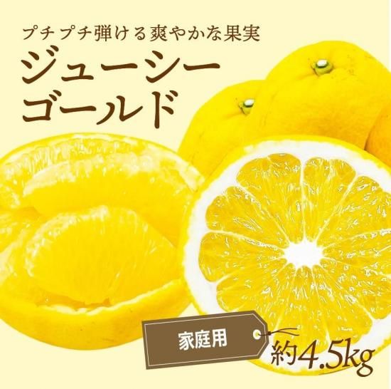塼ɡʲմˡڲѡ4.5kg
