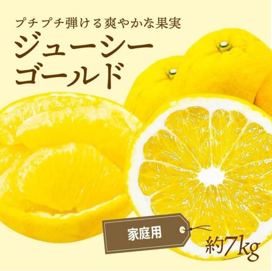 塼ɡʲմˡڲѡ7kg
