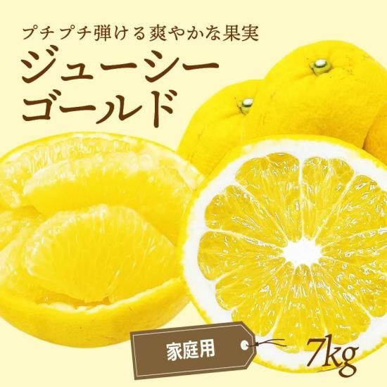 塼ɡʲմˡڲѡ7kg