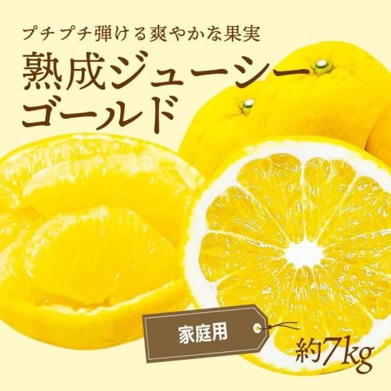 塼ɡʲմˡڲѡ7kg