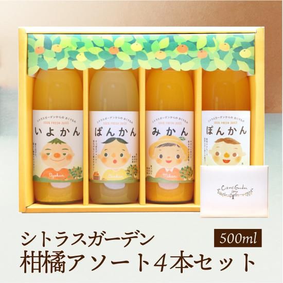 ڤ륻2023ۥȥ饹ǥ4ܥåȡ500ml4