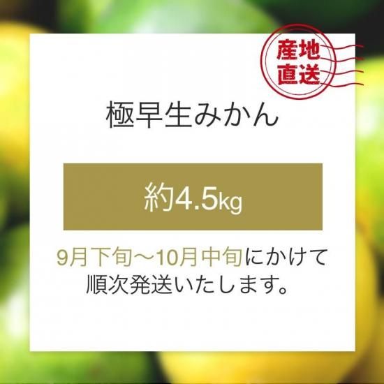 ͽʡ۶ߤ 4.5kg